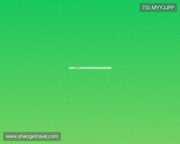 星速体育App评测：功能全面操作简便是否值得下载使用详解